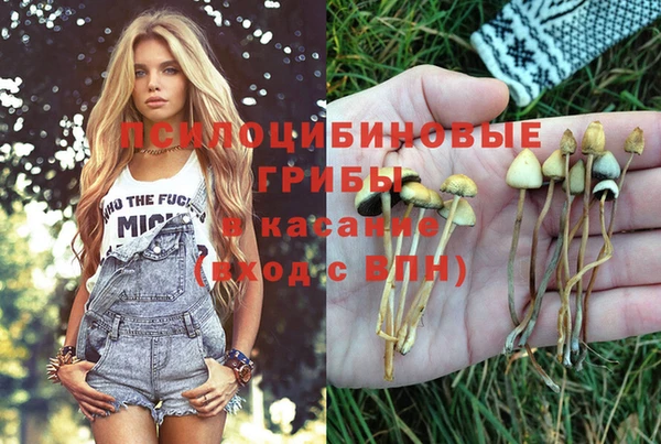 мет Медногорск
